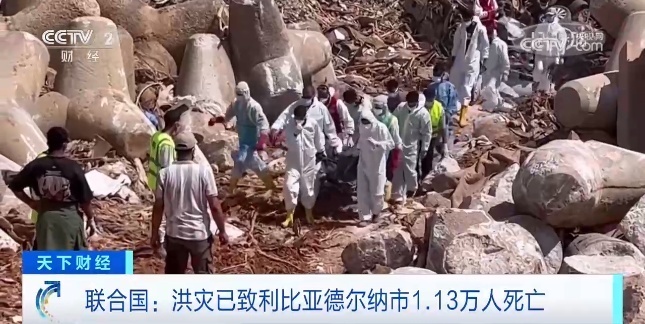 指尖捕鱼最新官方版